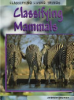 Classifying_mammals