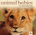 Animal_babies_in_grasslands
