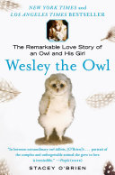 Wesley_the_owl