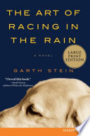 The_Art_of_Racing_in_the_Rain