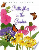 Butterflies_in_the_garden