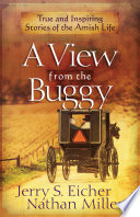 A_view_from_the_buggy