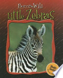 Little_zebras