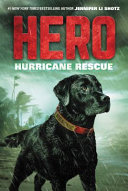 Hurricane_rescue