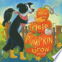 How_to_help_a_pumpkin_grow