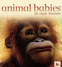 Animal_babies_in_rain_forests