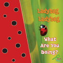 Ladybug__ladybug__what_are_you_doing_