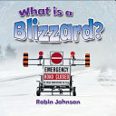 What_is_a_blizzard_