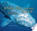 Fossil_fish_found_alive